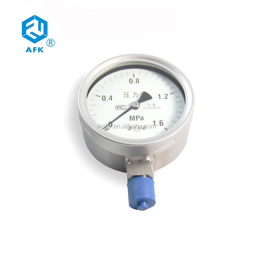 Top Quality ss316 Propane Gas lpg High Pressure Gauge