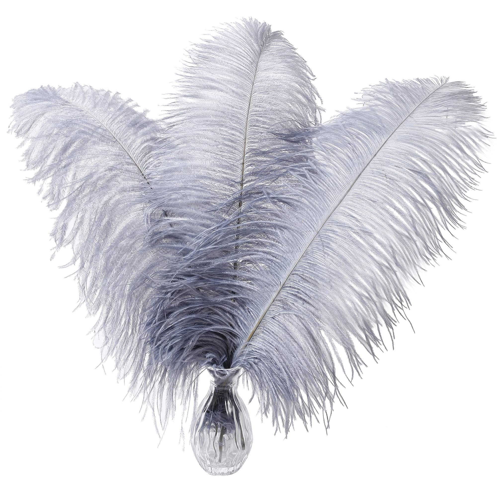 Wholesale Custom Red White Hackle Plume Hackles for Hats Uniforms feathers for crafts by Power Hint