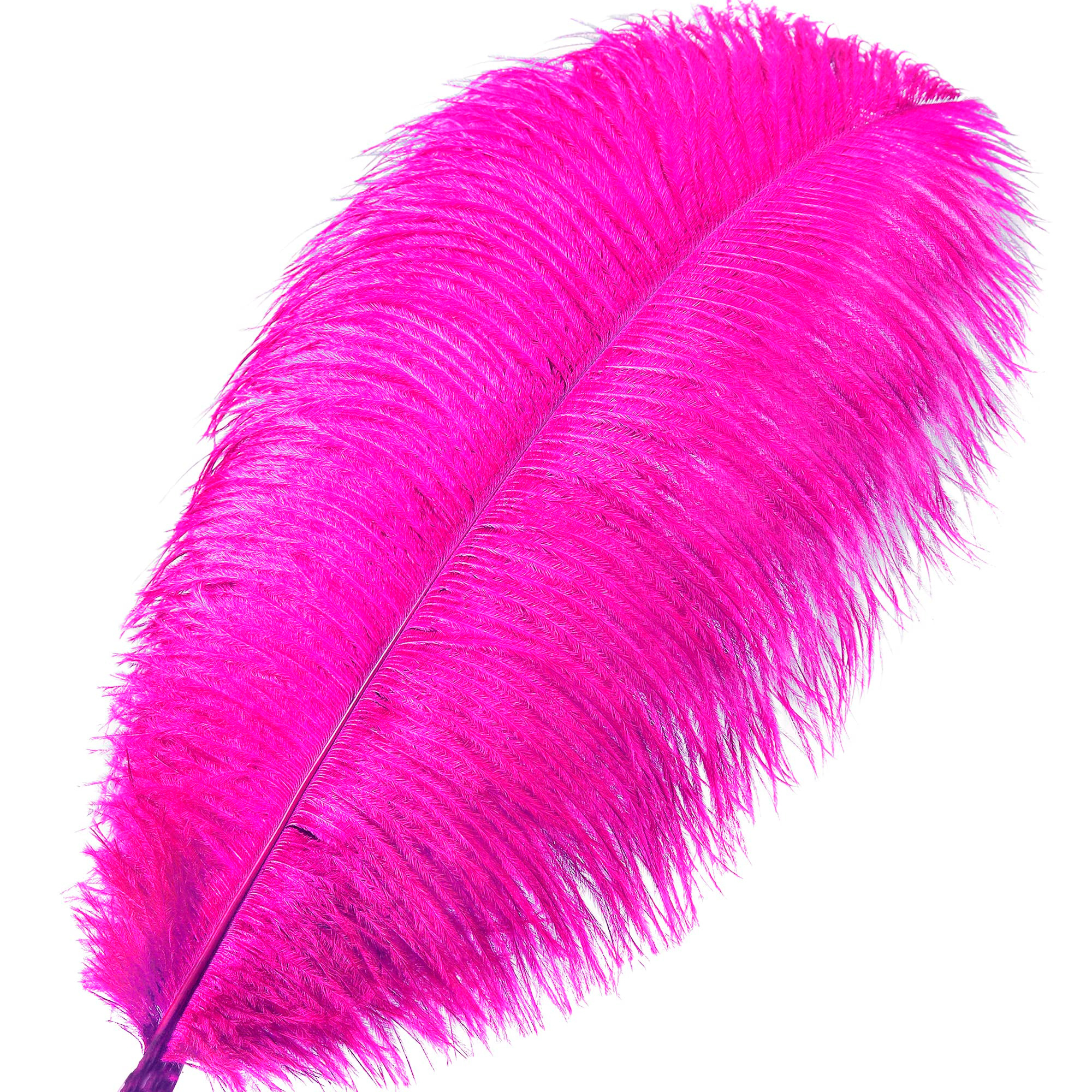 Wholesale Custom Red White Hackle Plume Hackles for Hats Uniforms feathers for crafts by Power Hint