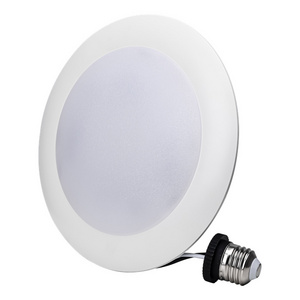 ETL Panel light Indoor lighting engineering project 1CCT 3CCT 5CCT 4inch 6inch 9W 12W led disk light