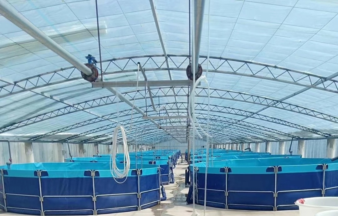 Aquaculture PVC large water tanks indoor fish breeding plastic commercial fish farming tank