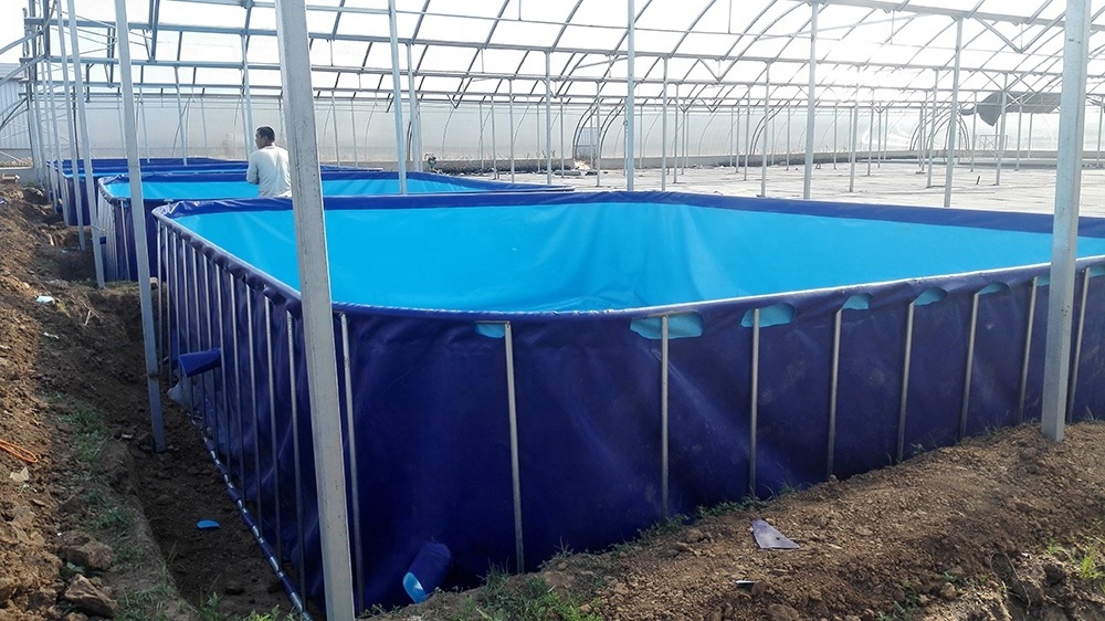 Aquaculture PVC large water tanks indoor fish breeding plastic commercial fish farming tank