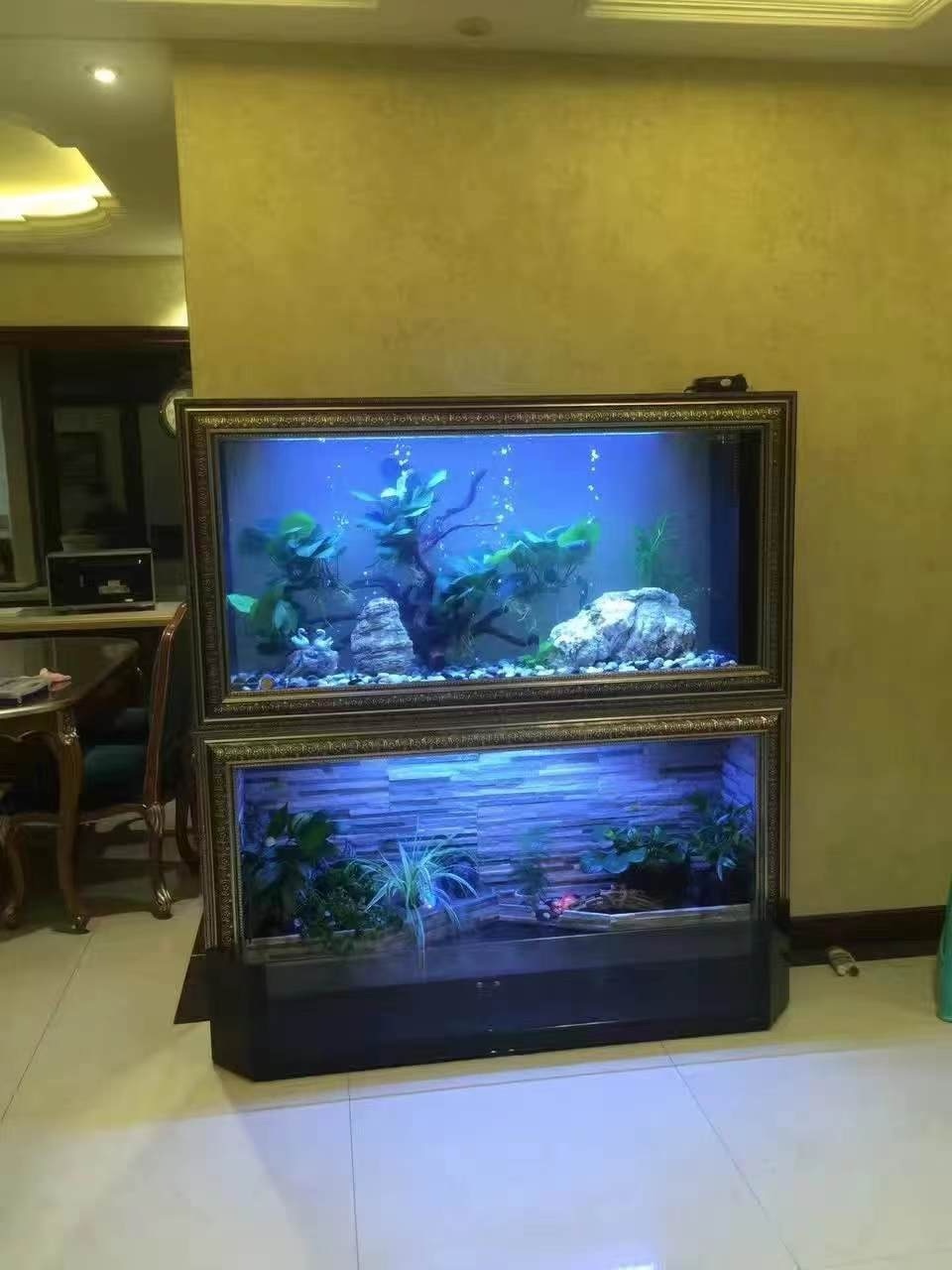 Large Fish Tank Aquarium Bowl Fish Tanks Fish Wide No Border Aquarium Tank