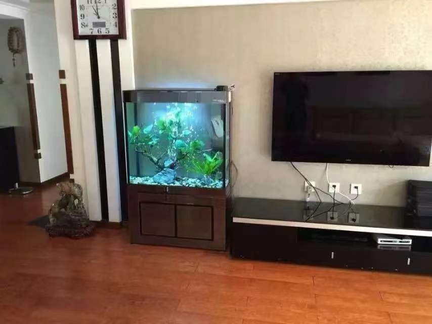 Led Light Wood Curved Custom Clear Glass Straight Aquariums & Accessories Luxury Glass Fish Tank Aquarium Pond Fish Fibre Glass