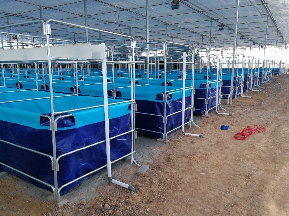 Aquaculture Fish Farming Tanks Replace Fish Cages Portable Biofloc Custom Commercial Fish Ponds