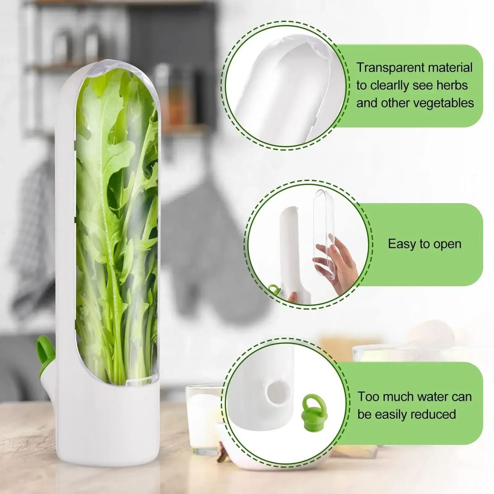 WONDERFUL Herb Savor Storage Container Freshness Herb Keeper Transparent Refrigerator Herb Saver