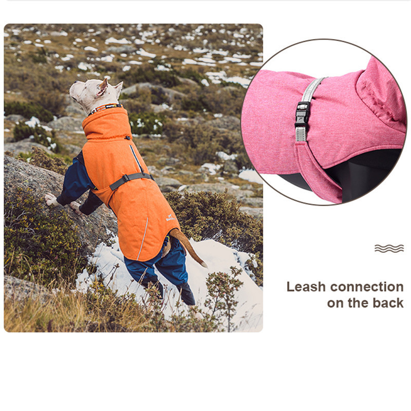 Wonderful Outdoor Designer Brand Padded Warm Clothes Reflective Winter Jacket Four Legged Dog Coat