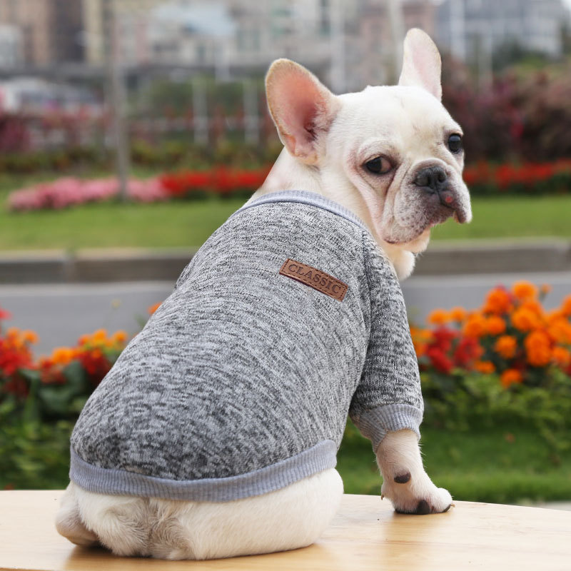 WonderfulPet Wholesale Cheap Multicolor Soft Fleece Thickening Warm Puppy French Bulldog Pet Custom Blank Dog Sweatshirt Clothes