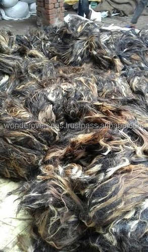 Washed Double Drawn Horse Mane Hair For Paint 4yrs Cn .hebei And Export Manufacturer Of Cow Buffalo Tail Hair Natural Cattle