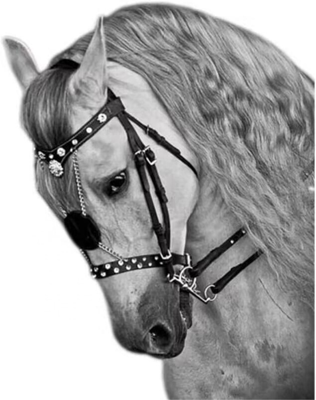 Wholesale Deluxe Competition Horse Bridle Horse Bridles