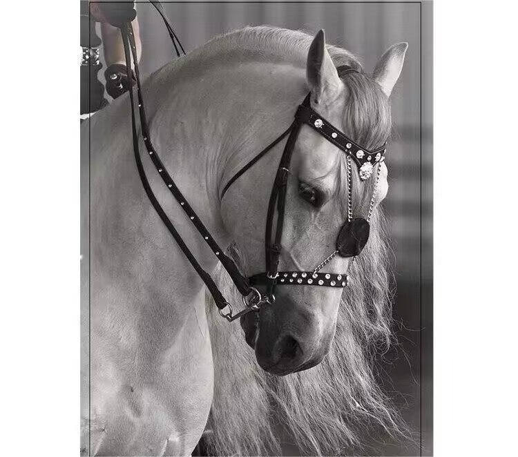 Wholesale Deluxe Competition Horse Bridle Horse Bridles