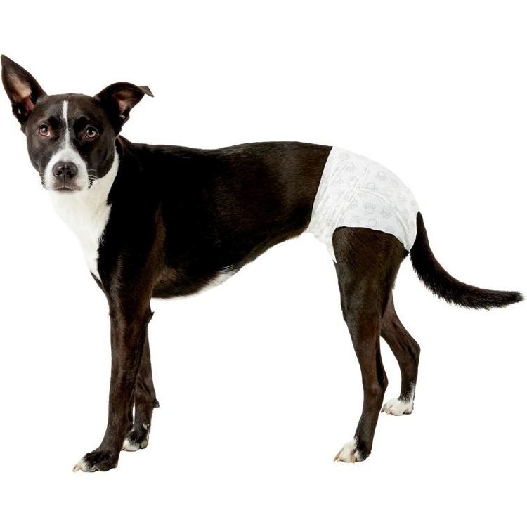 Wholesale New Design Portable Urine Show Soft  Doggy Diapers Cheap Dog Diapers For Female Dogs