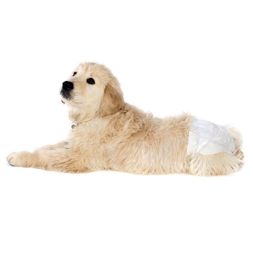 Wholesale New Design Portable Urine Show Soft  Doggy Diapers Cheap Dog Diapers For Female Dogs