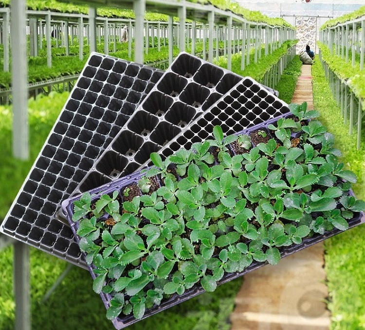 24 50 72 98 105 128 200 288 Cells PS Plastic Plug Seed Starting Grow Germination Tray for Greenhouse Vegetables Nursery