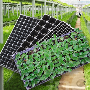 Vegetable Fruit and Flower Seedling Nursery Plug Tray for Seeds and Germination