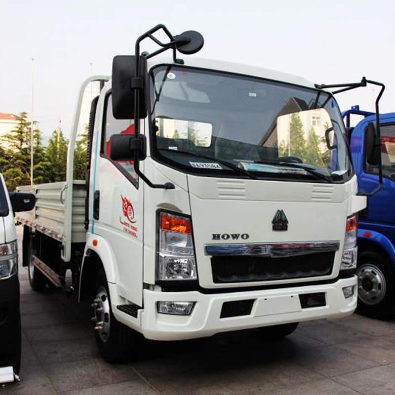 Small Cargo Truck 6x4 4x4 4X2 Sinotruk 3tons and 7 Tons Dump Light Diesel Engine Howo Tipper Truck