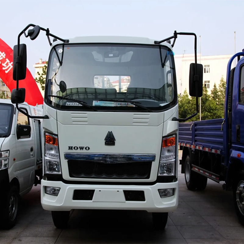 Small Cargo Truck 6x4 4x4 4X2 Sinotruk 3tons and 7 Tons Dump Light Diesel Engine Howo Tipper Truck