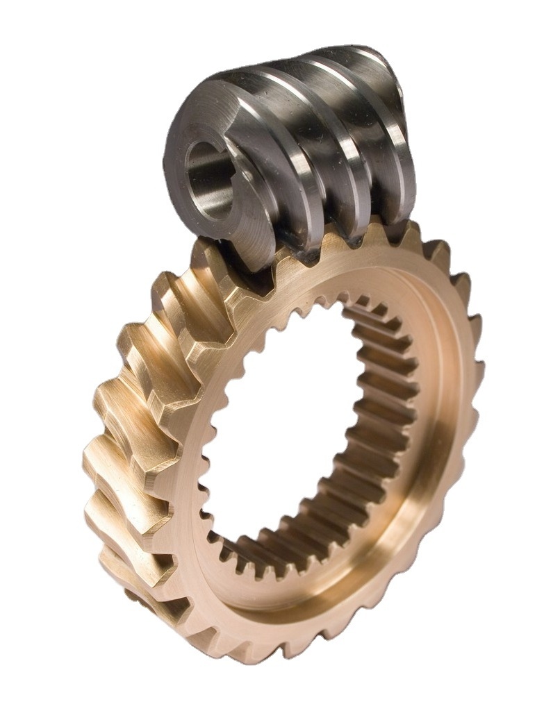 Hot Sale Customized Worm and Pinion Gears Stainless Steel Worm Gear