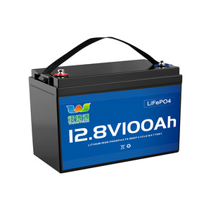 Lifepo4 Battery 12V 100AH Lithium Batteries With BMS and Heated Function for Solar Energy System