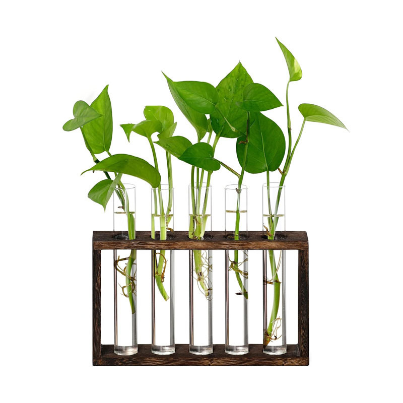 Wall Hanging Terrarium Planter with 5 Test Tubes,Wall Planters for Indoor Plants Plant Lover Gifts for Women Garden  Decoration