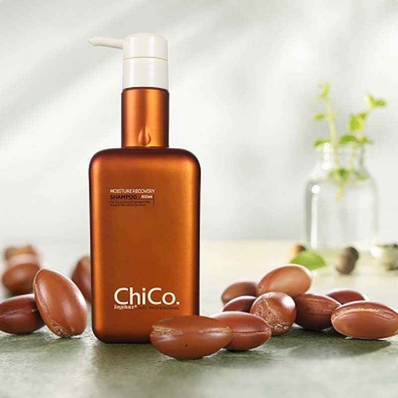 Begobace ChiCo Moisture Recovery Professional hair salon Shampoo for Frizzy dry fine and damaged hair