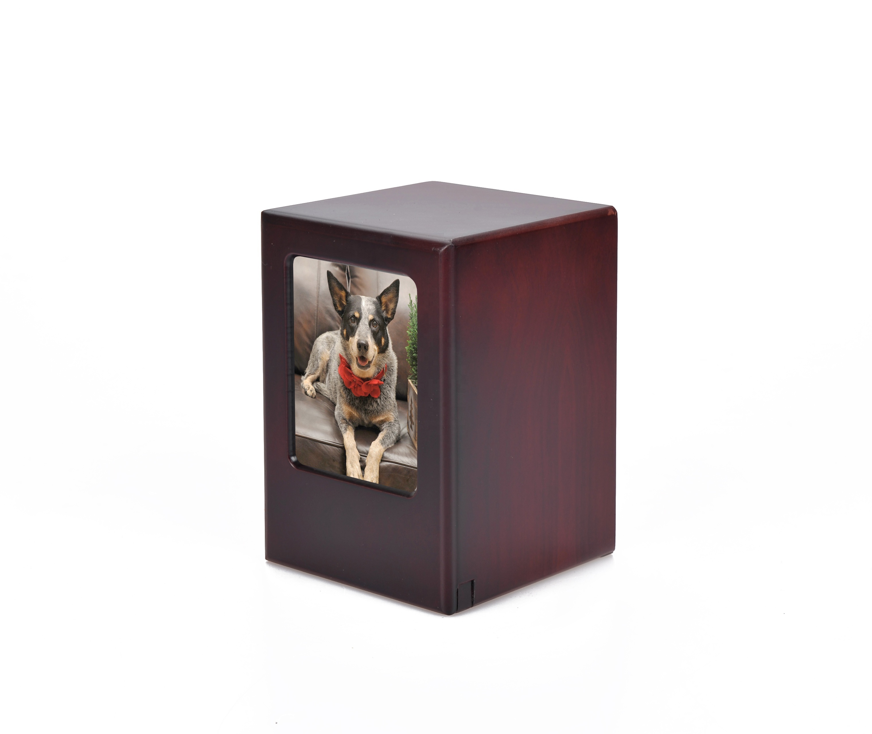 B042 Funeral customized photo pet urns cremation unique cat urn for ashes wholesale pet urns