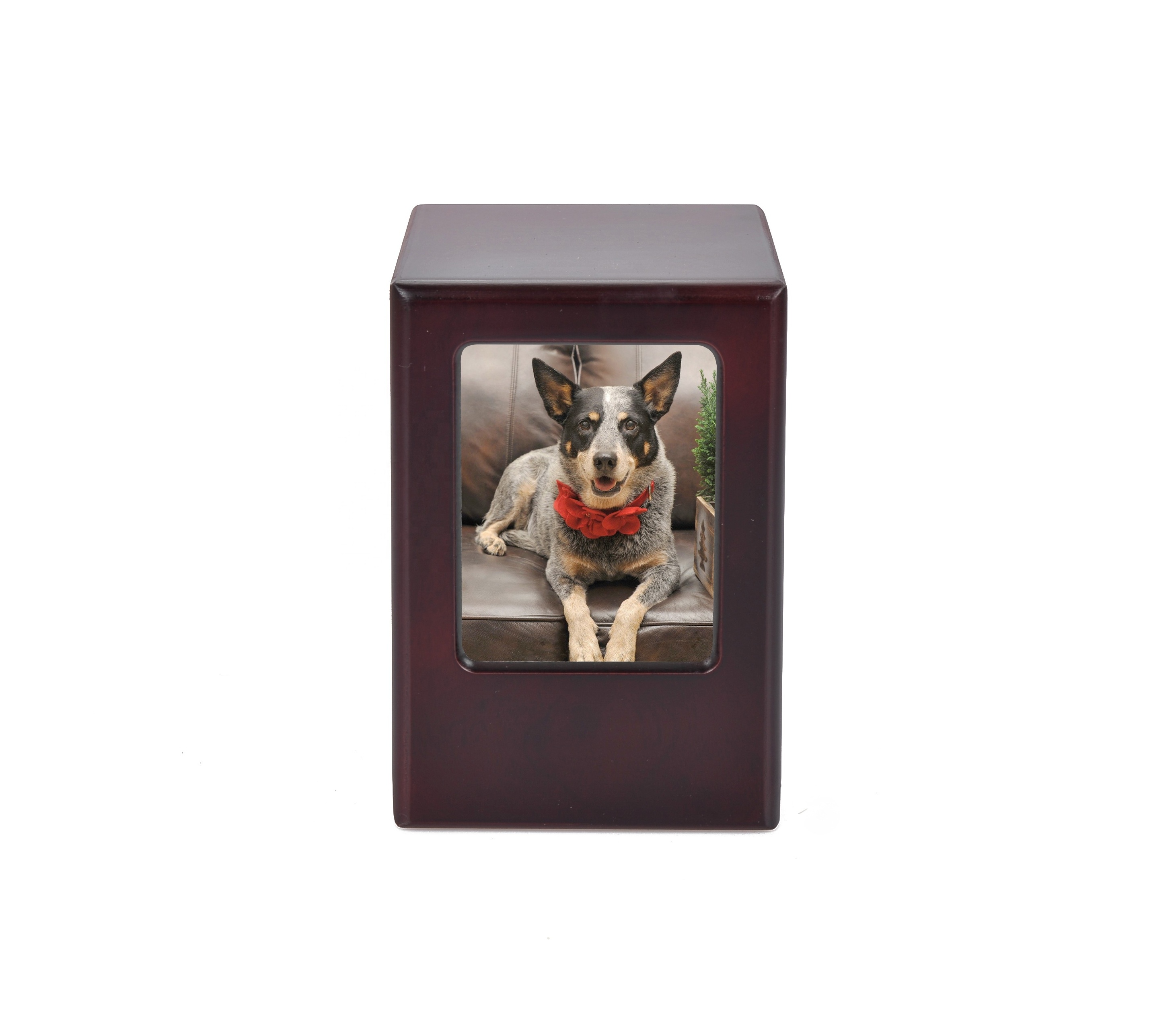 B042 Funeral customized photo pet urns cremation unique cat urn for ashes wholesale pet urns