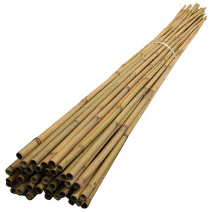 Top Quality Natural Bamboo Poles/Canes/Stakes for Agriculture Planting