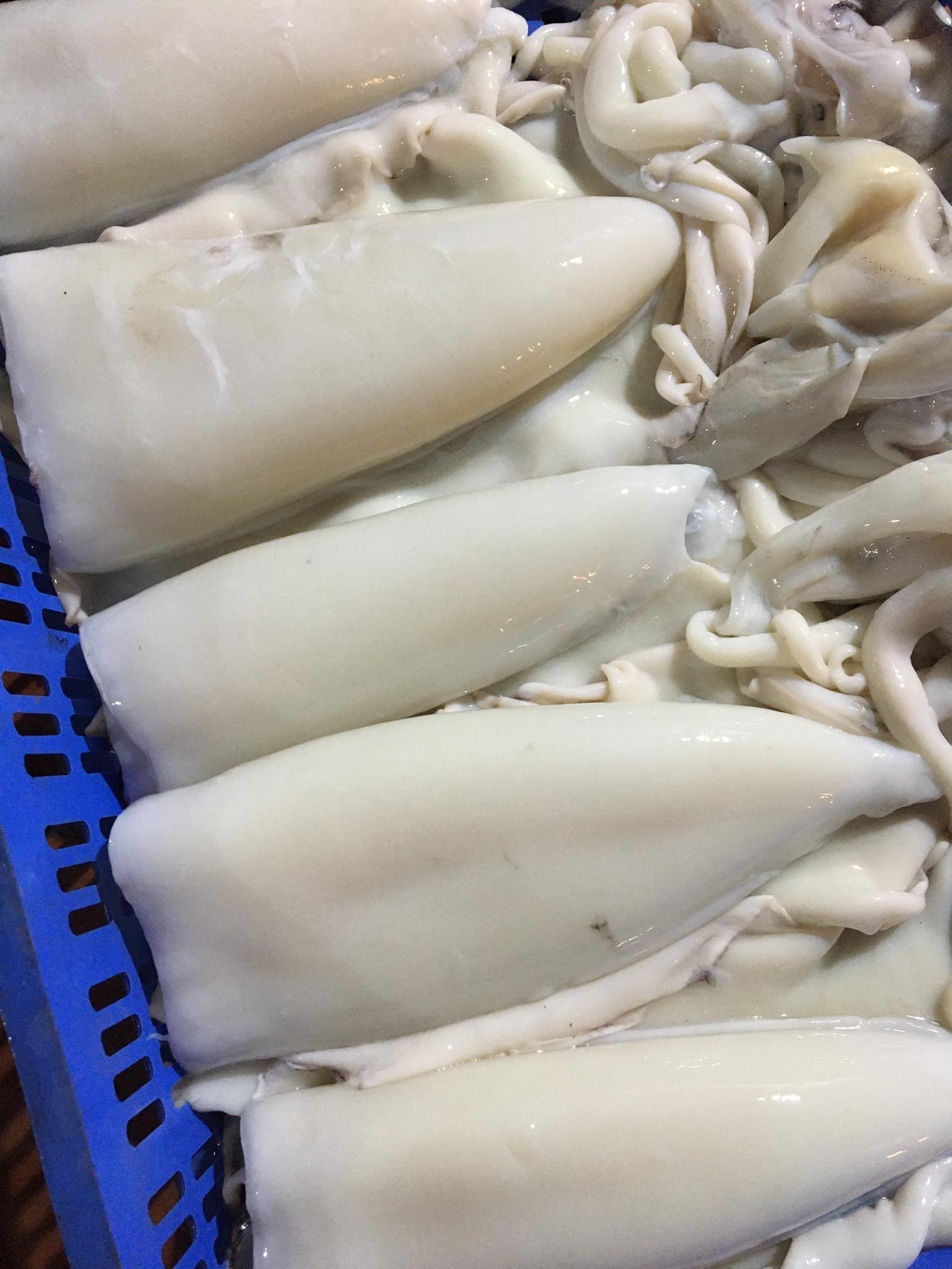 Best Quality Raw Frozen Cuttlefish Vietnam Squid A Grade Good Price