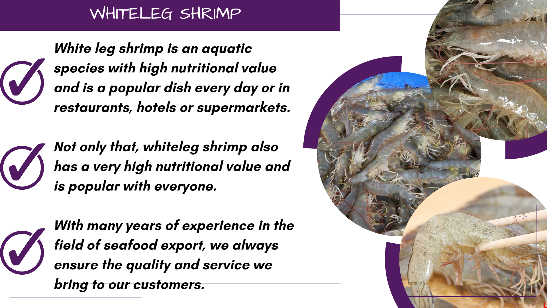 Frozen White Shrimp Wholesale Top Selling Seafood Vietnam Origin Raw Unpeeled Headless Frozen Vannamei Shrimp