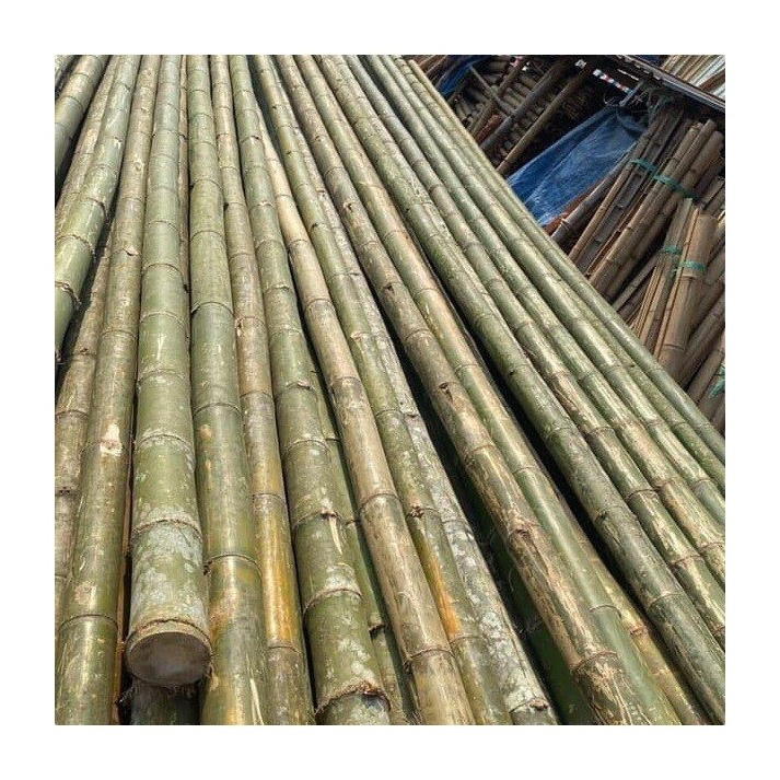 Dry Straight Agricultural Low Cost Raw Bamboo Poles Suppliers From Vietnam For Fence In Garden Plant