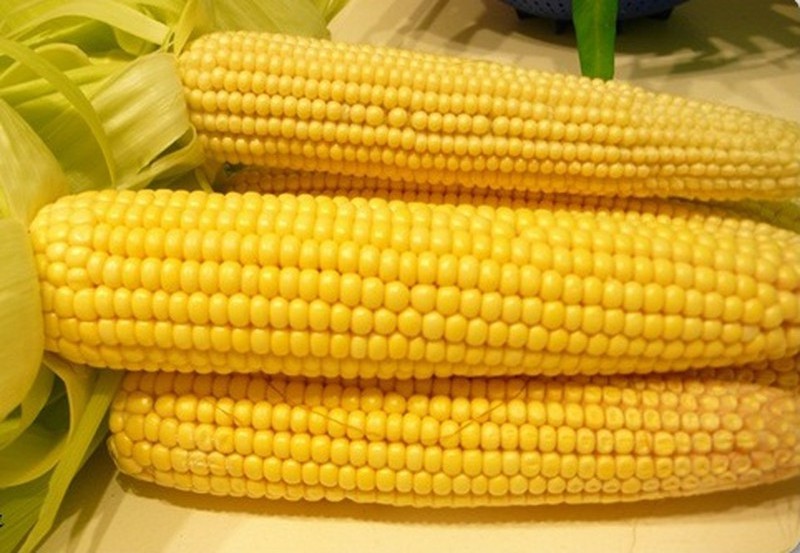 Corn & White Corn Fresh Sweet Corn 100% Natural Non-glutinous Vietnam Vietnamese Cheap Yellow 0.05 Cm 1000kgs Sealed 25 Kg 12%