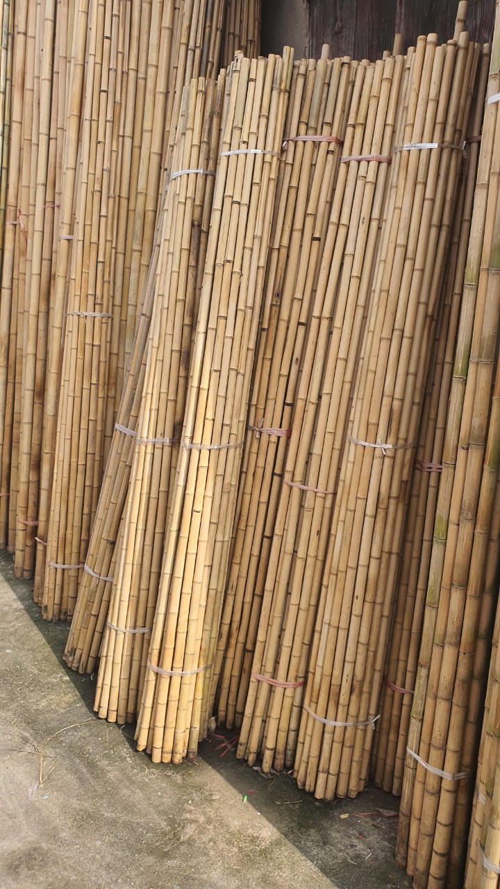 Bamboo Poles Directly From Factory For Agriculture Farming Lowest Price