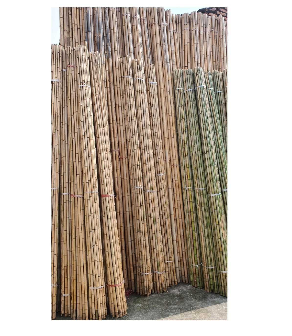 Bamboo Poles Directly From Factory For Agriculture Farming Lowest Price