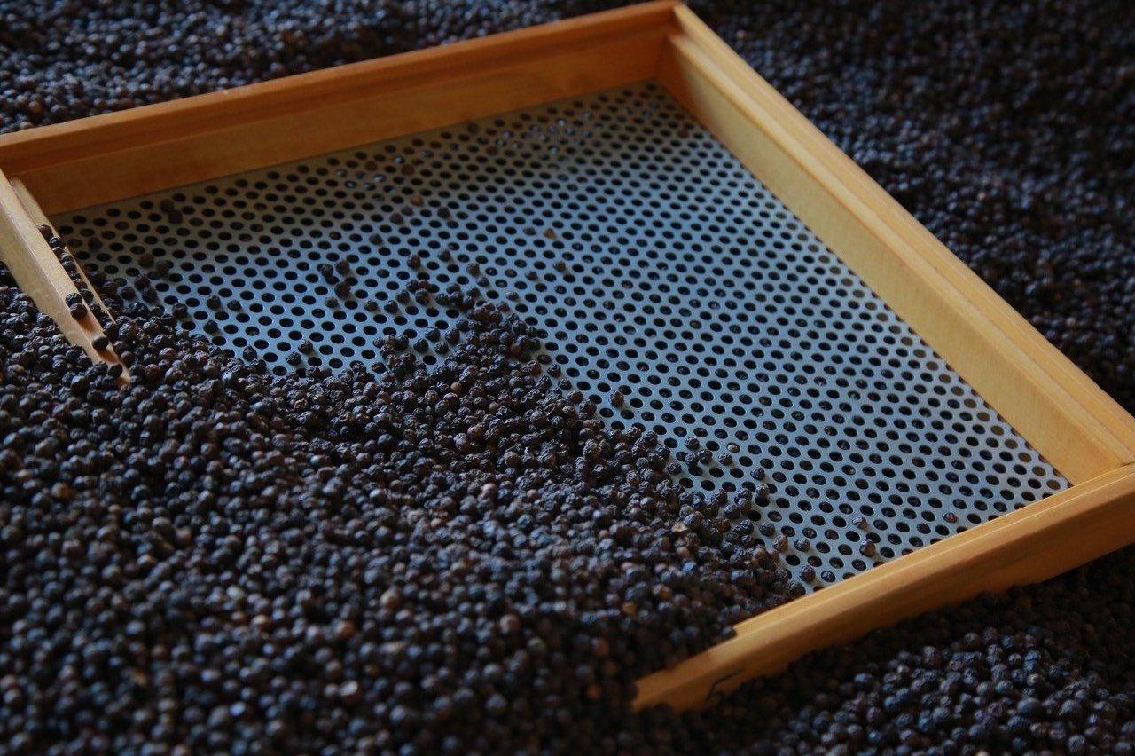 Organic Spicy Black Pepper with Best Price in Bulk Quantity Natural Vietnam Pepper Hot Selling Dried Black Pepper