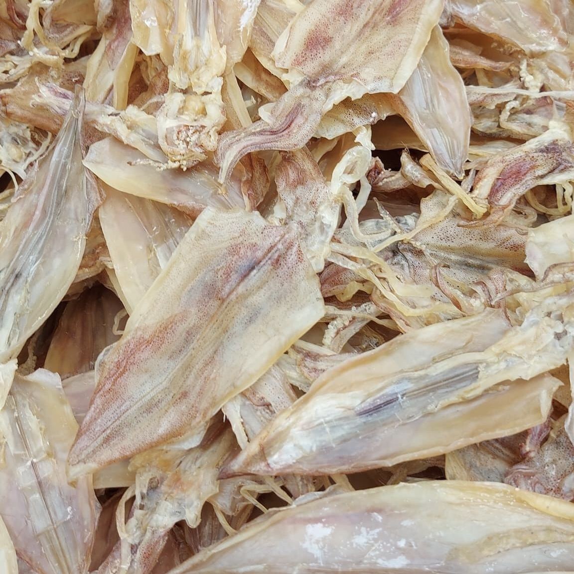 Packaging With Standard Price Reasonable Export Dried Squid Ready To Ship With AD Drying Processing from Vietnam