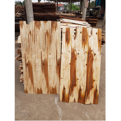 Vietnam 100% natural rotary cutting Acacia Wood Veneer