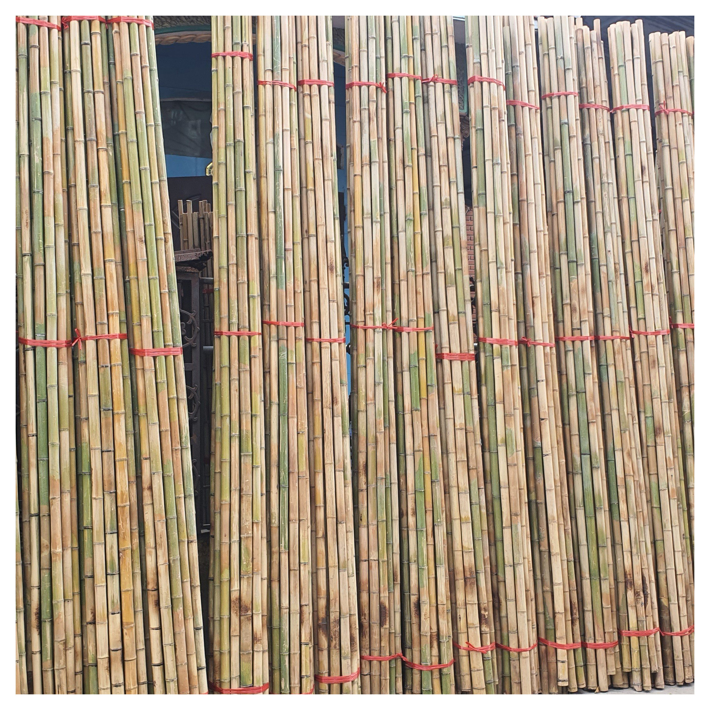 Dry Straight Agricultural Low Cost Raw Bamboo Poles Suppliers From Vietnam For Fence In Garden Plant