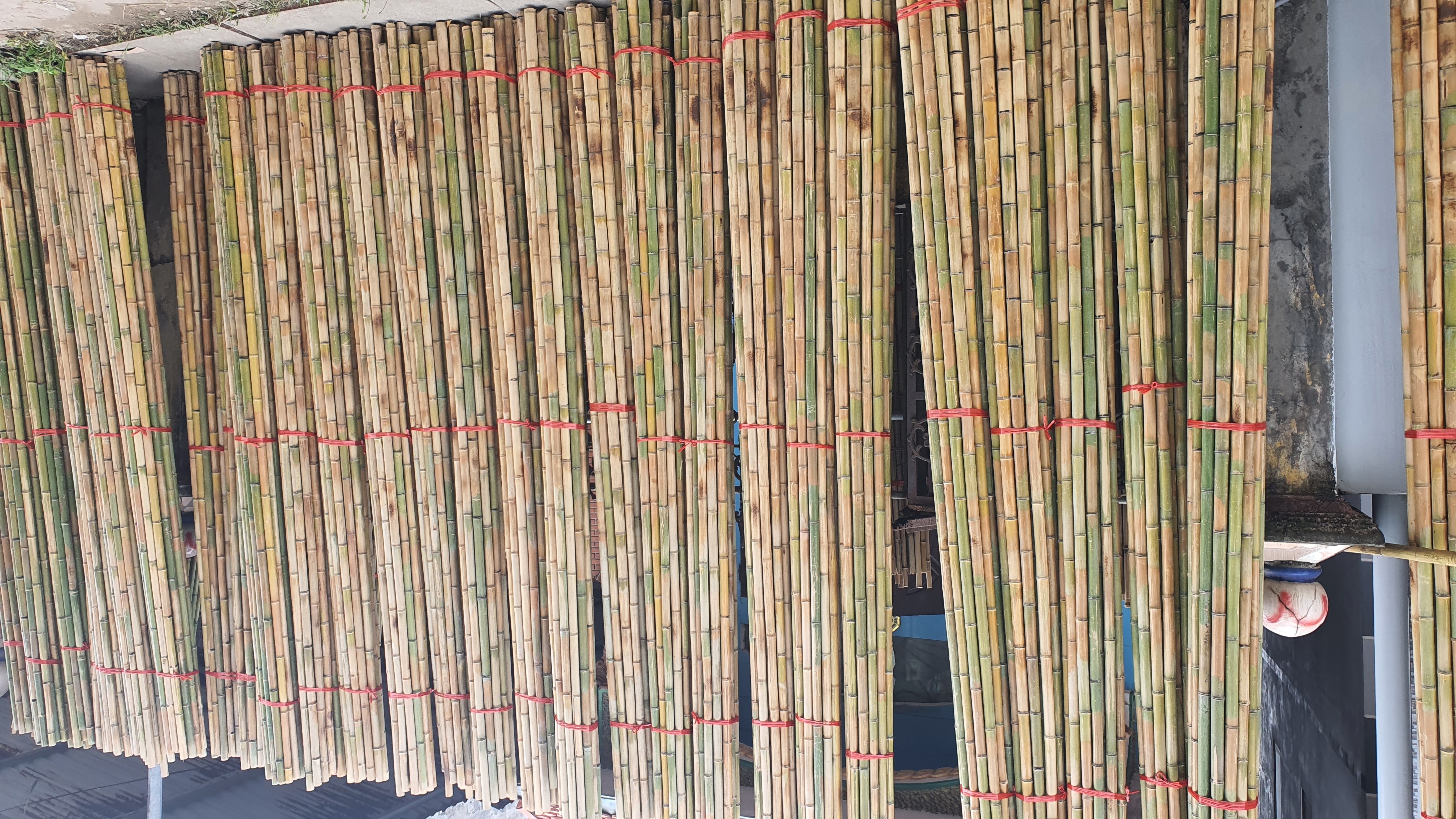 Bamboo Poles Directly From Factory For Agriculture Farming Lowest Price