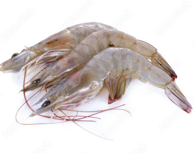 Frozen White Shrimp Wholesale Top Selling Seafood Vietnam Origin Raw Unpeeled Headless Frozen Vannamei Shrimp