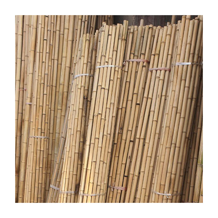 Dry Straight Agricultural Low Cost Raw Bamboo Poles Suppliers From Vietnam For Fence In Garden Plant