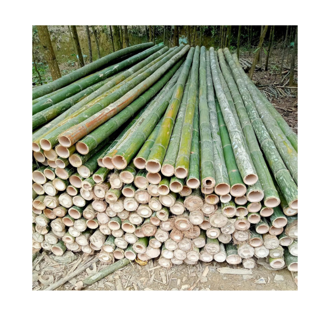 Vietnamese Factory Wholesale Cheap Price Natural Artificial Bamboo Poles for Indoor Outdoor Decoration