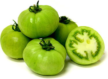 Cheap Price Fresh Oganic Green Tomatoes