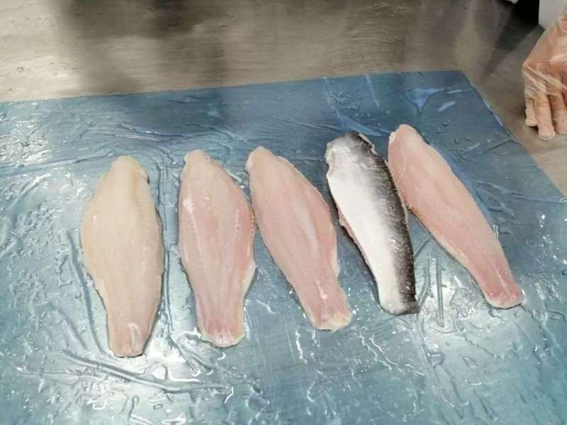 High Quality Basa Fish Fillet In Stock Are Ready Export From Viet Nam