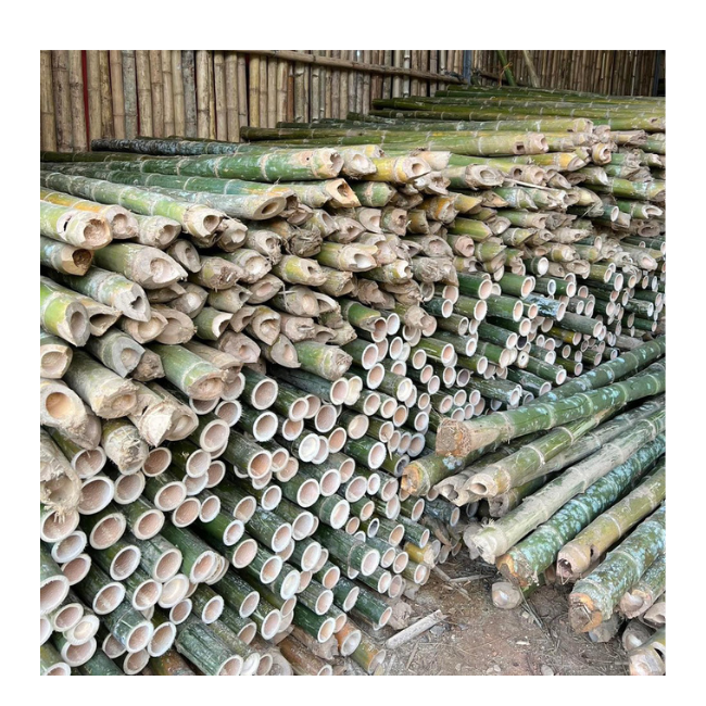 Vietnamese Factory Wholesale Cheap Price Natural Artificial Bamboo Poles for Indoor Outdoor Decoration