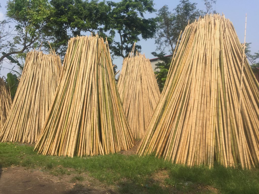 Top Quality Natural Bamboo Poles/Canes/Stakes for Agriculture Planting