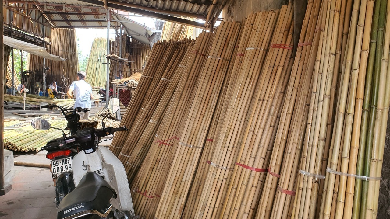 Bamboo Poles Directly From Factory For Agriculture Farming Lowest Price