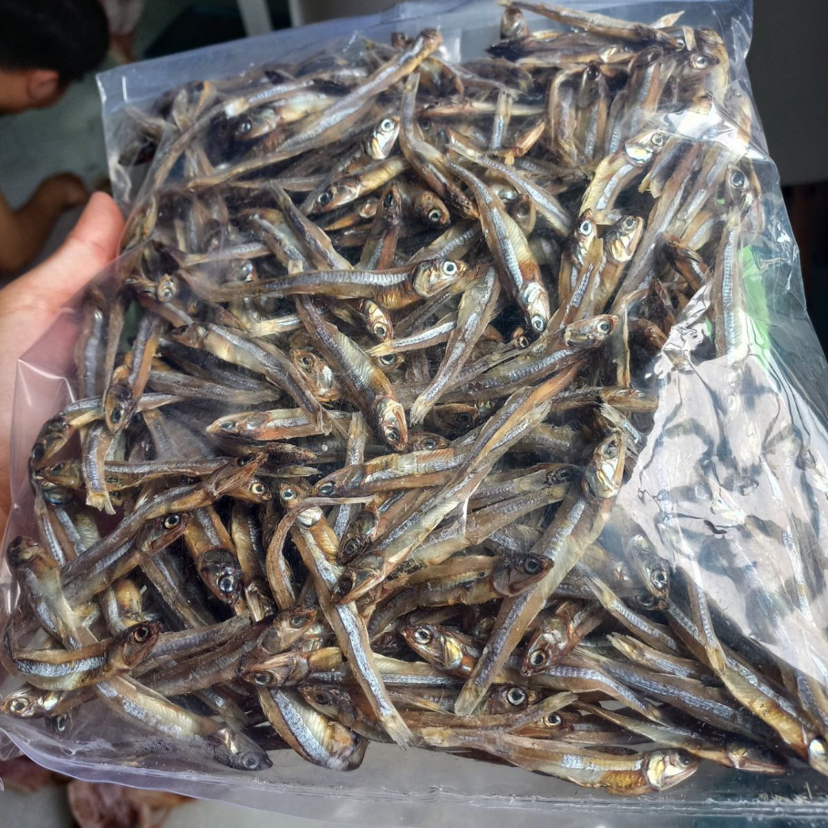 High Quality Raw Dried Anchovy Without Steam Seafood Whole Small and Large Fish Anchovy With Head (5-7cm) Seafood From Vietnam