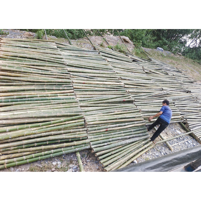 Vietnamese Factory Wholesale Cheap Price Natural Artificial Bamboo Poles for Indoor Outdoor Decoration