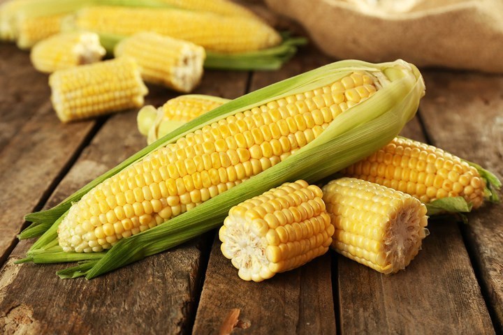 Corn & White Corn Fresh Sweet Corn 100% Natural Non-glutinous Vietnam Vietnamese Cheap Yellow 0.05 Cm 1000kgs Sealed 25 Kg 12%